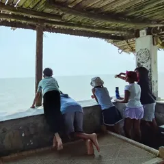 We believe the world itself offers the greatest lessons. Here, children gaze out at the vastness of the ocean on a trip to the Gulf of Mannar. In these moments of quiet observation, a deep connection with our marvellous planet is forged, sparking questions that guide our learning for weeks to come.