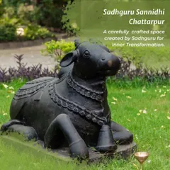 The Sadhguru Sannidhi in Chattarpur is a vibrant center for inner transformation, offering a variety of programs and events. This post details the schedule for Ekadashi Sadhana, Pournami gatherings, and daily Darshan, all open for you to experience.