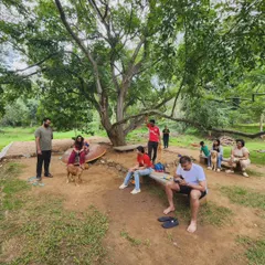 Group photos from a 'Dog's Day Out' at an organic farm. It's amazing to see so many people and dogs of different breeds enjoying a day in nature together.