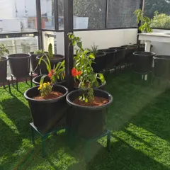 A beautiful terrace garden we designed, featuring a mix of flowering plants on durable stands, all set against a lush, natural-looking artificial turf.