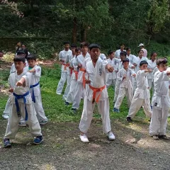 Students of all belt levels, from orange to blue, practicing their stances and punches in unison during our fourth day at the summer camp. Outdoor training sharpens the senses.