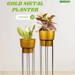Elevate your plants with these elegant gold metal planters on tall stands. They are perfect for framing a doorway or adding height to a plant arrangement in the corner of a room.