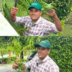 Our team rescued over 2500 saplings from a site in Meerut. This is the kind of dedicated, rapid-response work our team does to save plants and give them a new home in our forests.
