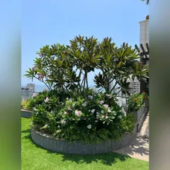 This circular planter on a rooftop garden becomes a living sculpture. We selected a mix of flowering plants and foliage to create a focal point with year-round interest, set against the backdrop of the sea.