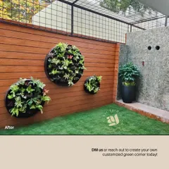After: The completed circular vertical garden, now a living piece of art on the wall. The round planters are filled with a variety of plants, creating texture and visual interest.
