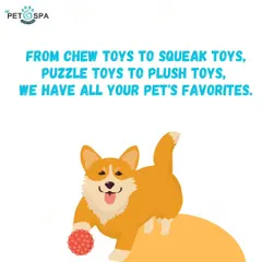 Boredom is banned here. From tough chew toys for dental health to soft plush toys for cuddling, we have all your pet's favorites to keep them entertained.