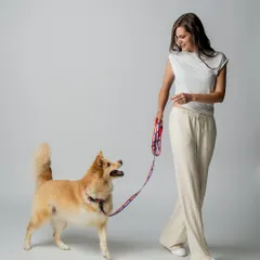 I wanted to show the product in motion for this shot. A model walks with this beautiful dog, showcasing the leash and harness in a natural, dynamic way. This helps customers see how the product functions during a typical walk.