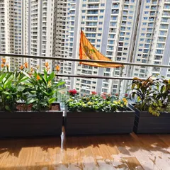 This is how I turn a high-rise balcony into a functional garden. These custom-fitted planter boxes are filled with a mix of flowering and foliage plants suited for urban environments.