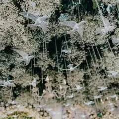 A magical detail from our green and white engagement decor. Crystal birds appear to fly through a cloud of baby's breath and delicate crystal strings, with a chandelier adding a touch of elegance.