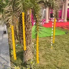 Simple yet festive decor for an outdoor Haldi event, with marigold garlands hanging from palm trees.