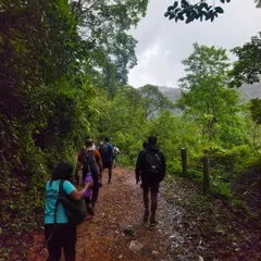 Trekking through a forest path on our offbeat waterfall trek. Our routes take you deep into the heart of nature.