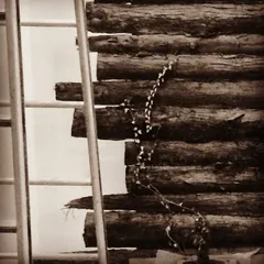 This feature wall is made from pine tree skin, a waste product from the timber industry that I have upcycled into a beautiful interior element. I've planted ivy at its base, which will eventually create a living, breathing green wall.