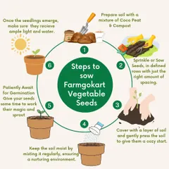 This circular guide details the six key steps to successfully sow my vegetable seeds, from preparing the soil with coco peat and compost to patiently waiting for germination.