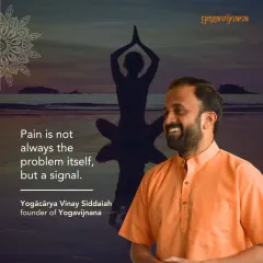 Pain is not always the problem itself, but a signal. I often use the analogy of a train accident to explain biomechanics; the force of an impact travels, and the weakest link breaks. Similarly, stress moves through our body, and yoga helps us identify and strengthen our weak points to find harmony.