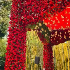 A close-up of the dense red rose decor, contrasting beautifully with the golden bamboo backdrop. The texture and color are simply breathtaking.
