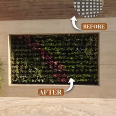 A before and after of a vertical garden installation. I transformed a plain grid wall into a vibrant green feature with a mix of artificial plants, adding natural elegance to this outdoor space.
