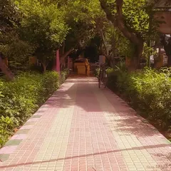 Another view of the main walkway in Mehandi Park. I ensure that public pathways are kept clear and the surrounding greenery is well-tended to create a welcoming atmosphere.