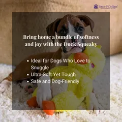 This infographic highlights the benefits of the Duck Squeaky toy. It's ideal for dogs who love to snuggle, ultra-soft yet tough, and made from safe, dog-friendly materials.