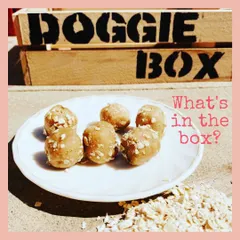 Our 'Goofball' treats are a customer favorite. They are no-bake balls of goodness, made with rolled oats and a generous amount of our all-natural peanut butter.