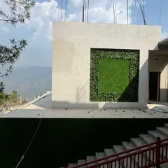 A unique wall frame design I installed in Theog, Himachal Pradesh. The outer frame uses leafy panels while the inner square is a neat 25mm grass, creating a piece of living art against the mountain backdrop.