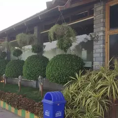 A great garden is about structure and health. For this property, my regular maintenance service includes meticulous pruning to keep these large shrubs perfectly spherical and ensuring the surrounding plants are vibrant and thriving. This is what consistent care looks like.