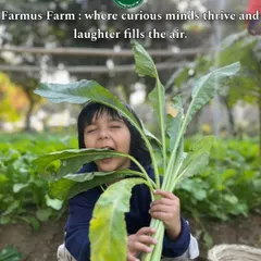 This is what pure happiness looks like. A young visitor is overjoyed after pulling up a giant, fresh radish from our organic vegetable patch. It’s these real, earthy moments that make a day at Farmus so special.