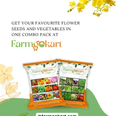 Whether you want a garden bursting with colorful flowers or one filled with fresh vegetables, I have the perfect combo pack for you. My seed collections are designed to give you a variety of high-quality options in one easy package.