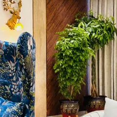 We selected these large, ornate planters to complement the client's luxurious and eclectic decor. The tall, lush plants add vertical interest and a touch of nature to this vibrant living room.