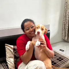 This is the heart of my work. A quiet moment of trust and connection with a young pup. Before any commands are taught, I focus on building a safe and loving bond, because a happy dog is one who feels understood and secure.