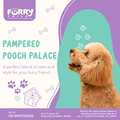 Welcome to the "Pampered Pooch Palace," where we offer a perfect blend of care and style for your furry friend.