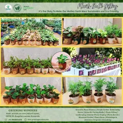 We are equipped to handle bulk orders of any size. This collage showcases our wide variety of healthy plants, from indoor foliage to flowering species, all ready to be potted and prepared for your corporate events or as return gifts.