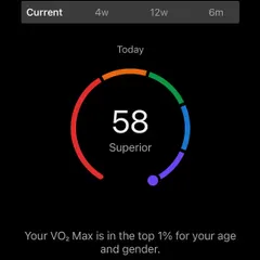 Don't panic if your VO2 Max drops in humid weather. This screen explains the science behind it. I teach my athletes to train by effort, not just numbers, and trust the adaptation process.
