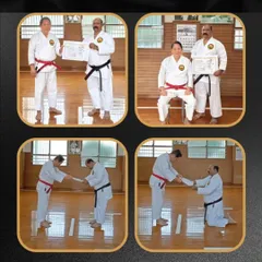 A collage capturing the key moments of my Kyoshi Nanadan examination and awarding in Okinawa. This rank is a great responsibility, representing a commitment to preserving and teaching traditional karate.
