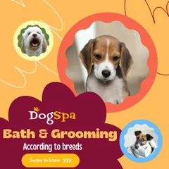 Every breed has unique grooming needs. This graphic introduces my breed-specific advice for bathing and grooming.
