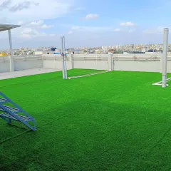 A bare city rooftop transformed into a lush green lawn. This is the power of premium artificial turf. It's a durable, weather-resistant, and beautiful solution for creating usable green space on terraces and large balconies, perfect for family gatherings or a quiet escape.