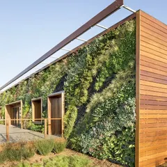 My services extend to large-scale commercial projects, like this building exterior. A vertical garden of this size makes a bold statement, improves the building's aesthetic, and contributes to a greener urban environment.