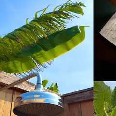 A digital detox in Pondicherry, featuring an outdoor shower surrounded by banana leaves.