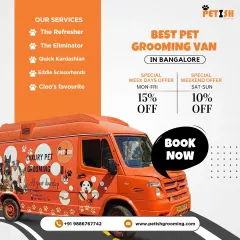 Here's a look at my grooming van, which brings all my services and special offers directly to you. Booking is just a call or click away.