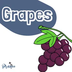 Grapes and their dried form, raisins, are extremely dangerous for dogs and can cause kidney failure. This is a critical food to keep away from your pup.