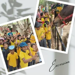 We believe in learning beyond the classroom walls. On our excursion to a local pet sanctuary, children get to connect with animals, learning about them in a gentle, hands-on environment.