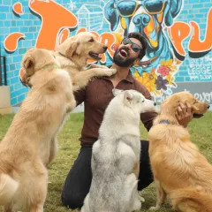 This is the vibe we live for. Pure, unfiltered joy with our squad of Goldens and Huskies. We've built a space where dog lovers can come and get their dose of puppy therapy, surrounded by happy, wagging tails.
