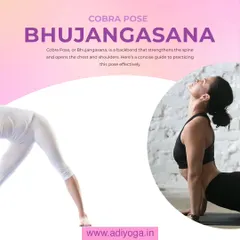 Bhujangasana, or Cobra Pose, is a powerful backbend that strengthens the spine and opens the chest and shoulders. This visual gives a clear look at the final posture.