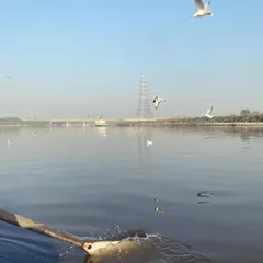 The splash of an oar in the calm waters of the Yamuna. A boat ride is a core part of this experience, giving you a unique perspective of the city's edge.