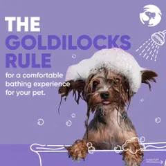 The perfect bath starts with the perfect temperature. I follow the "Goldilocks Rule," using lukewarm water that's not too hot and not too cold for a comfortable and soothing bathing experience.