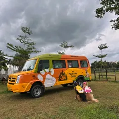 All aboard the Doggie School Bus! Our custom-built, safe transport makes getting to and from camp an adventure in itself. We offer convenient pick-up and drop-off services.