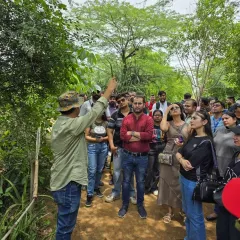 A walk with us is a conversation. Here, I am showing a group from KPMG the small details you might otherwise miss. We look at leaf patterns, check for insects, and talk about how everything in the forest is connected. It is not a lecture, it is a shared discovery.