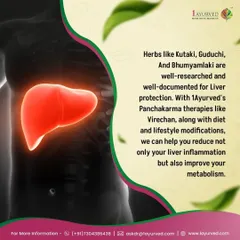 We treat fatty liver with a combination of Panchakarma therapies like Virechan, diet modifications, and well-researched herbs like Kutaki and Guduchi. This approach reduces liver inflammation and improves your metabolism.