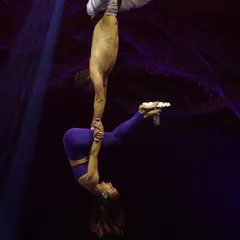 This duo performance combines the strength of a male base with the grace of a female flyer. This kind of partner work on aerial silks allows for dynamic lifts and holds that are impossible in a solo act.