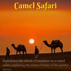 Experience the timeless charm of a camel safari across the golden dunes of Jaisalmer. We arrange this iconic activity for you to enjoy the serene beauty of the desert at sunset.
