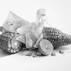 A challenging composition of corn and lemon. This drawing was an exercise in rendering repetitive patterns and the fibrous texture of the corn husk.